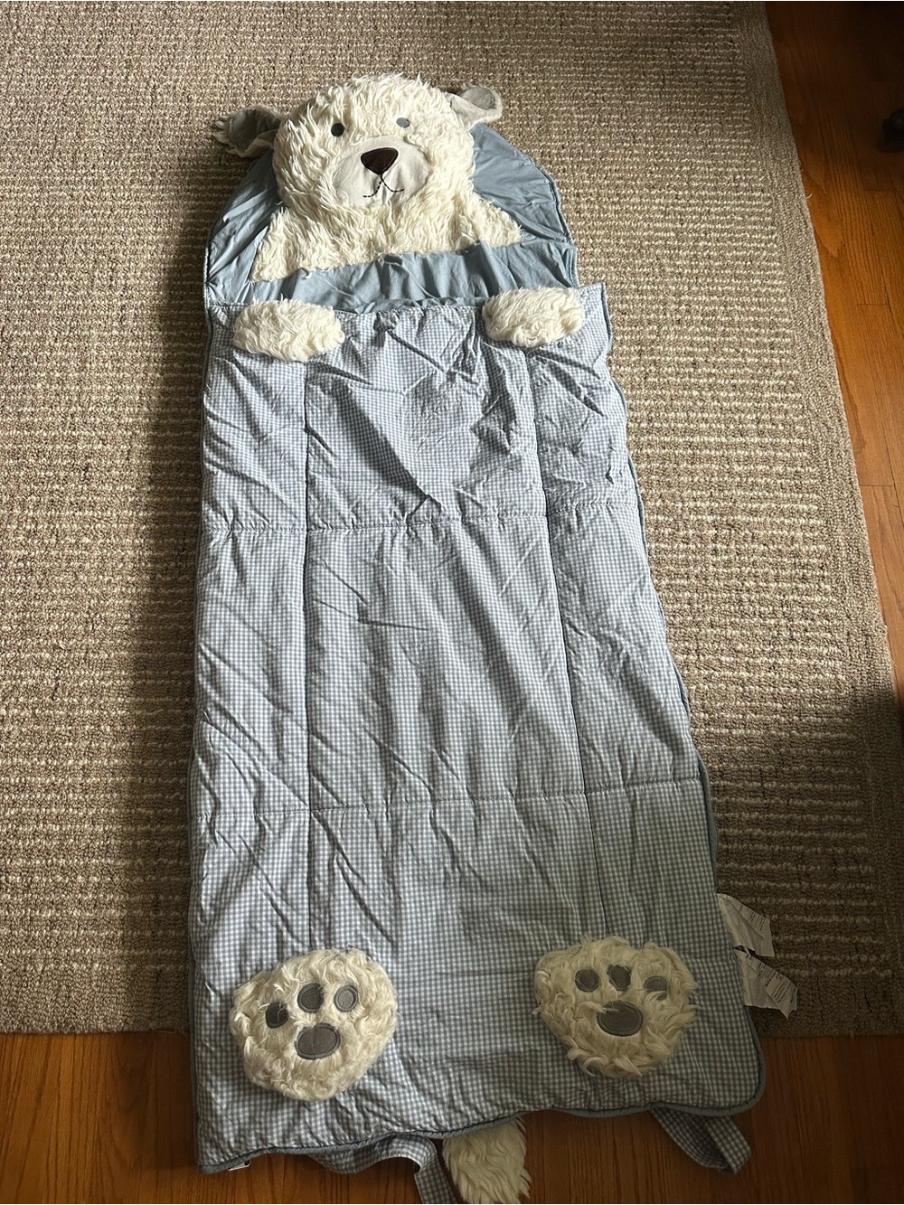 Pottery Barn Kids Blue Bear Sleeping Bag